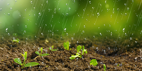 博收~环保新型肥