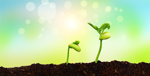 博收~环保新型肥